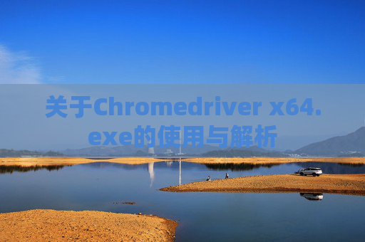 关于Chromedriver x64.exe的使用与解析